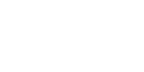 LOVENSE